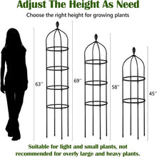 Load image into Gallery viewer, Lightweight 2-Pack 6ft Metal Garden Trellis - Quick Install for Climbing Plants