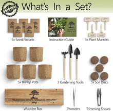 Load image into Gallery viewer, Organic Bonsai Tree Growing Kit with Easy Instructions – Ideal for Beginners