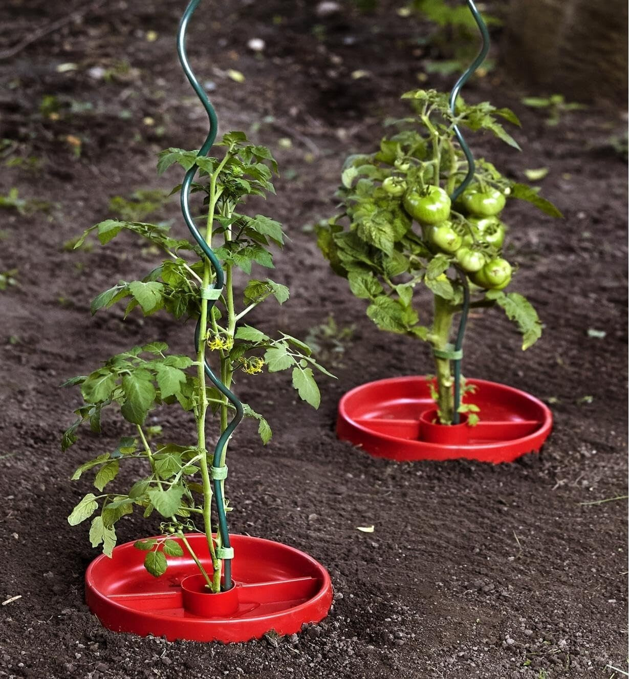 Durable 59-Inch Vinyl Coated Tomato Stakes - 10 Pack Climbing Plant Supports