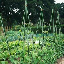 Load image into Gallery viewer, Durable 6ft Tomato Stake Supports - 50 Pack of Weather-Resistant Garden Stakes