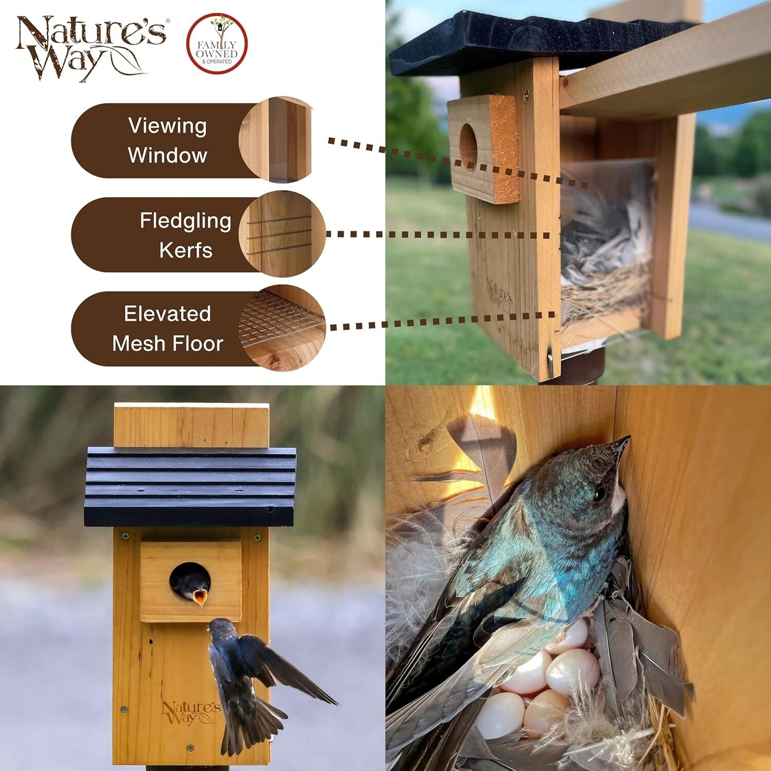 Nature's Way Weather-Resistant Bluebird House with Easy Clean-Out Design