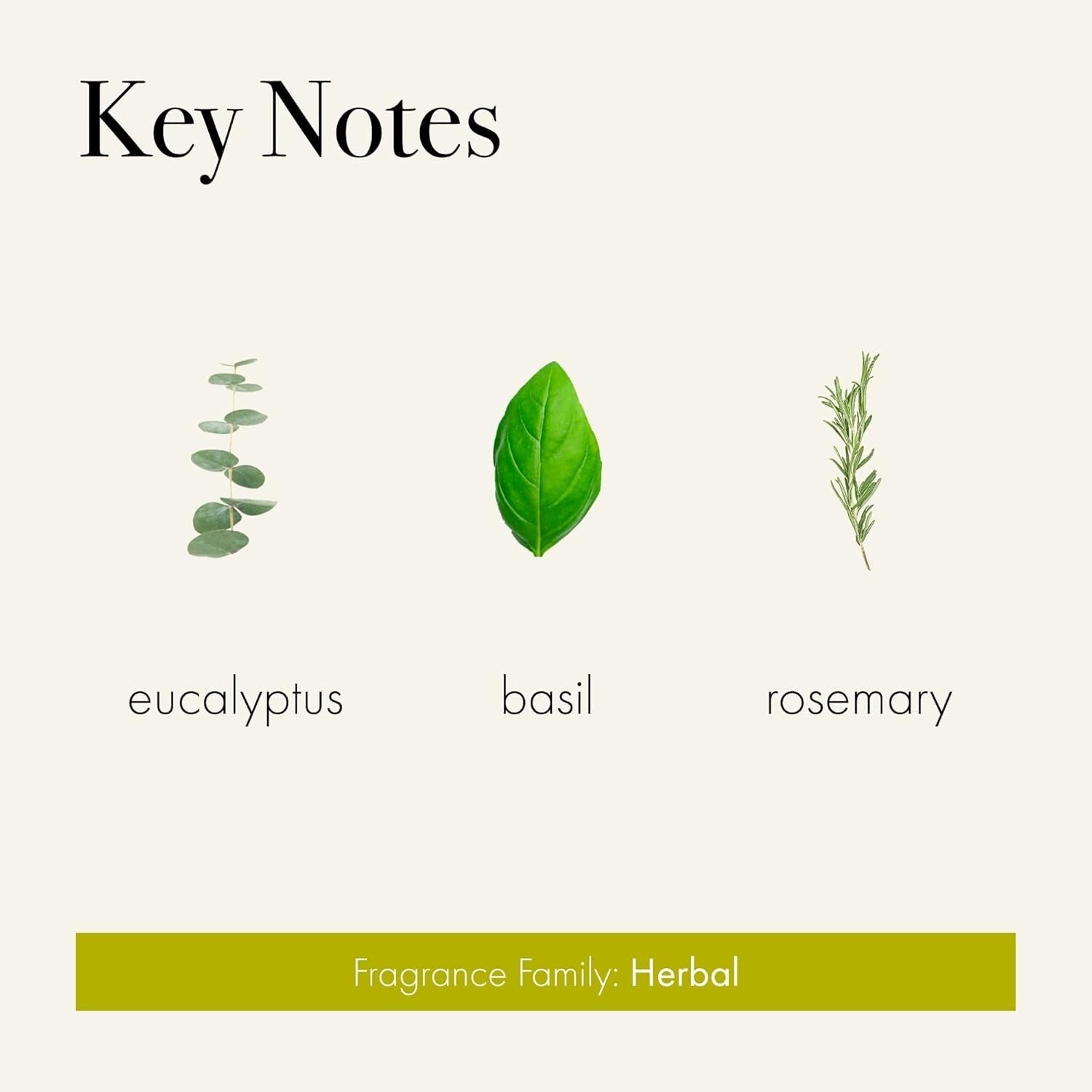 Elegant 6.5 oz Rosemary Eucalyptus Candle in Reusable Glass Vessel - 50 Hours