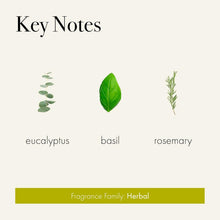 Load image into Gallery viewer, Elegant 6.5 oz Rosemary Eucalyptus Candle in Reusable Glass Vessel - 50 Hours