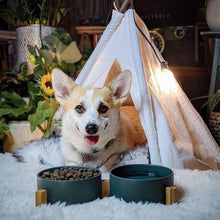 Load image into Gallery viewer, Elegant Ceramic Dog and Cat Bowl Set with Non-Slip Wooden Stand - 3.6 Cups