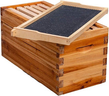Load image into Gallery viewer, Nuc Beehive Kit with Waterproof Roof &amp; Ventilated Inner Boards for Healthy Bees