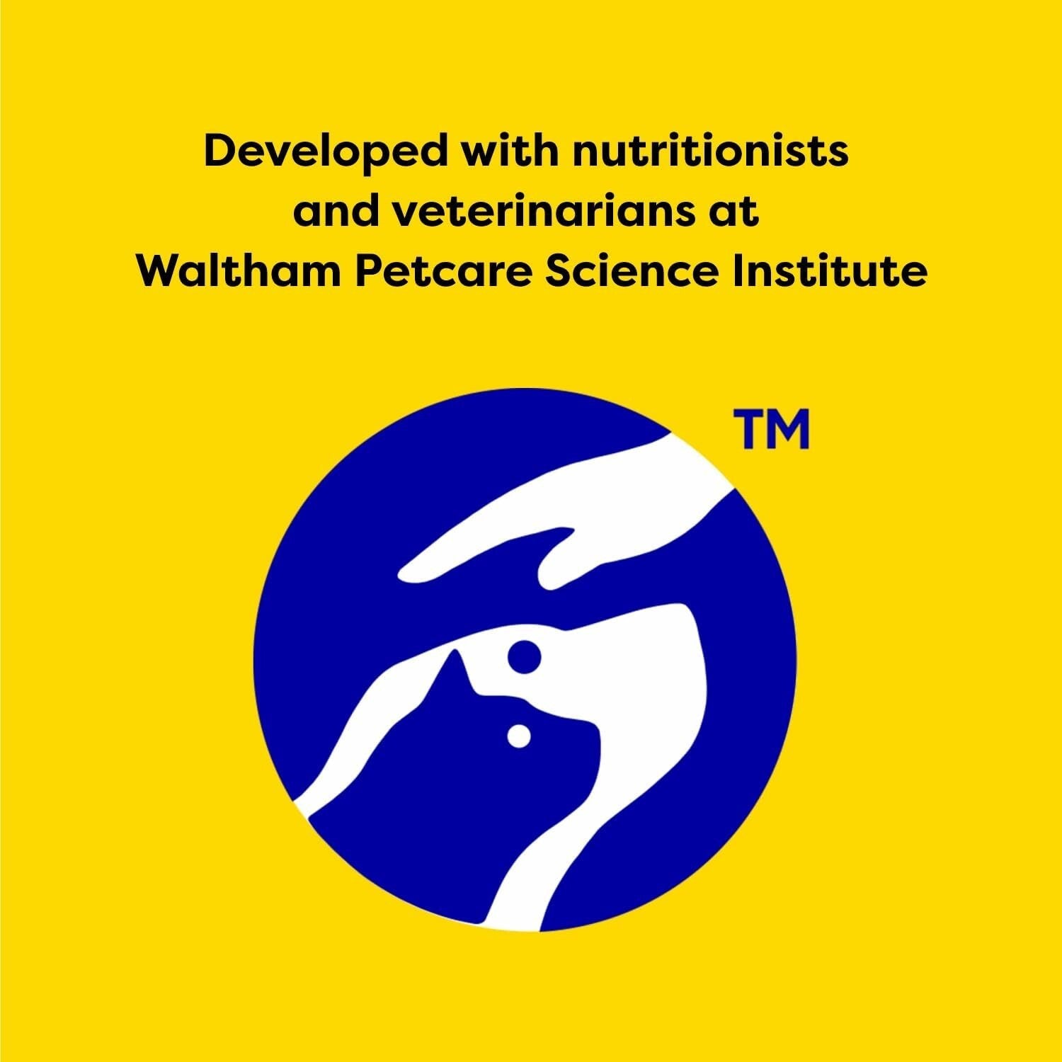 Value Pack: MixUps Catnip Fever Cat Treats - Crunchy & Soft, 6.3 oz Pouches