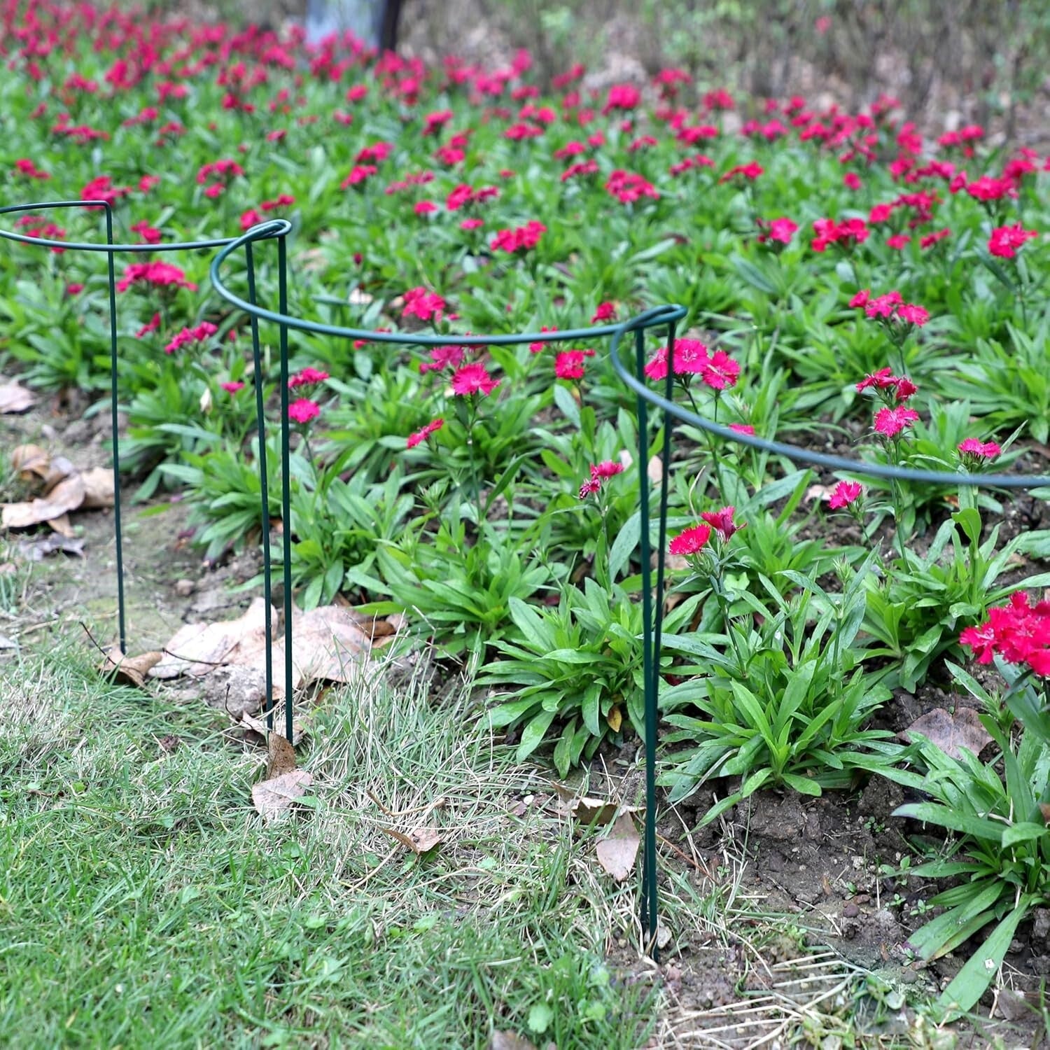 Elegant 20 Pack Plant Support Stakes - 10" Wide x 16" High for Garden Aesthetics