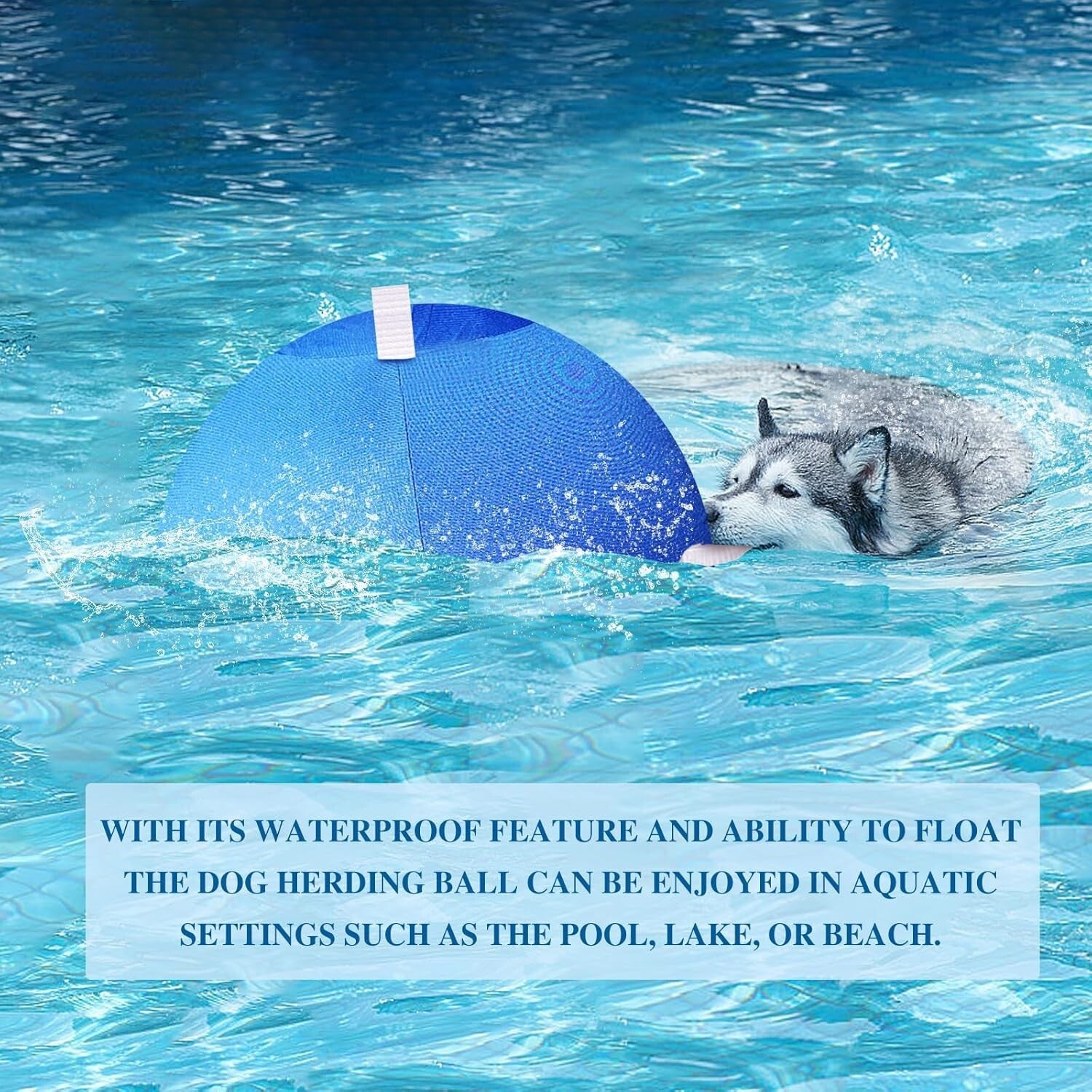 Durable Anti-Burst 25" Dog & Horse Soccer Ball with Safety Cover in Blue