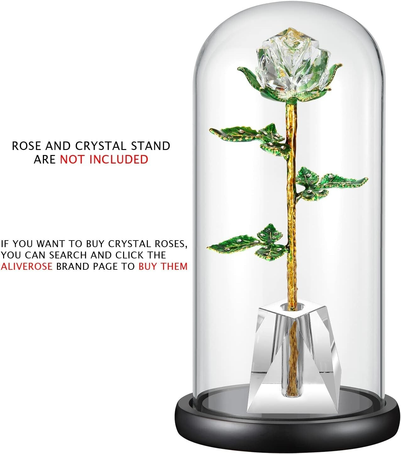 Elegant 13" Glass Display Dome on Black Wood Base for Collectibles & Figurines