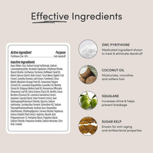 Load image into Gallery viewer, 3-in-1 Anti-Dandruff Solution: Shampoo, Nourishing Conditioner &amp; Scalp Massager