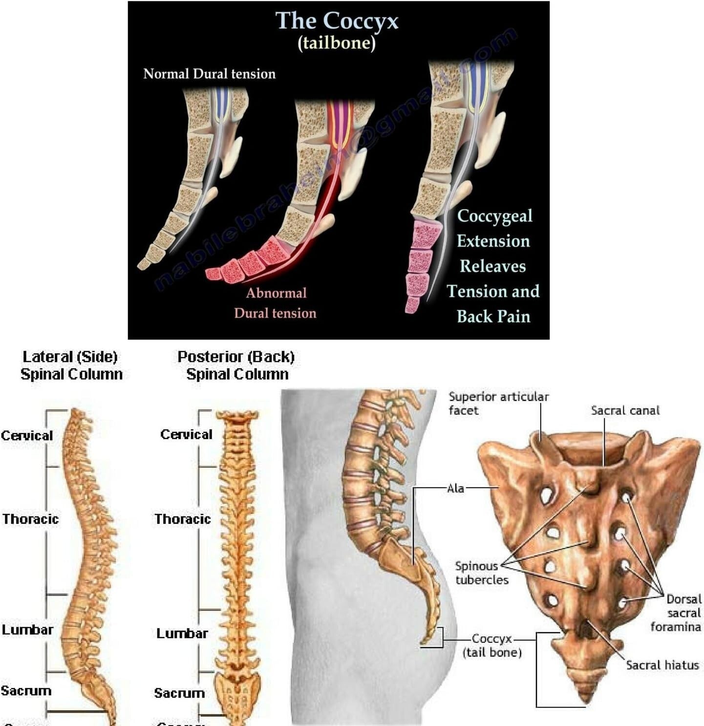 Extra Thick High-Density Memory Foam Seat Cushion for Back Pain Relief - Black