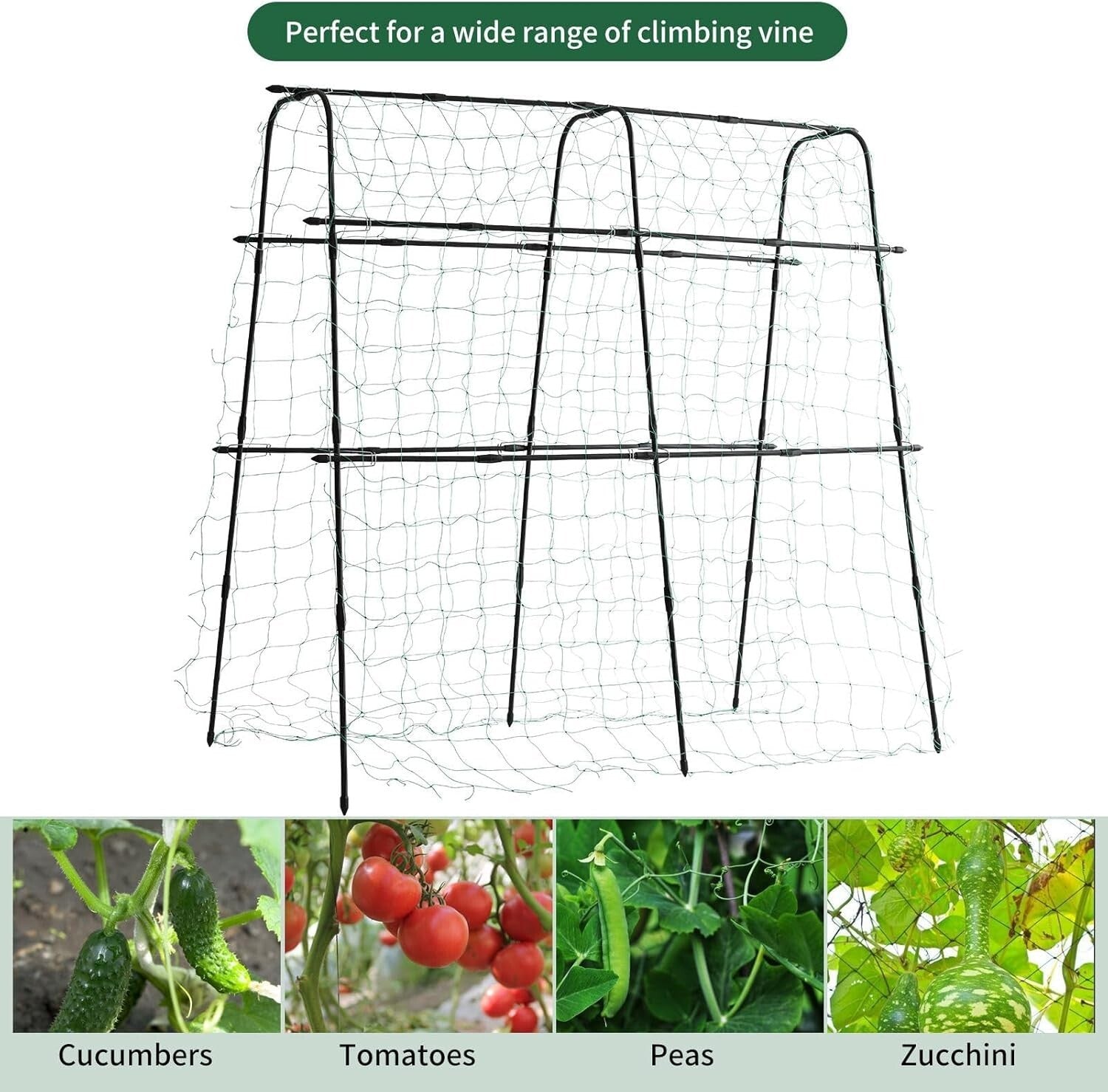 Elegant 5.3 FT Tall Trellis with Durable Steel and Nylon Netting for Raised Beds