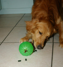 Load image into Gallery viewer, Pack of 5 Green Dog Chew Balls - Treat Dispensing Fun for Active Pets