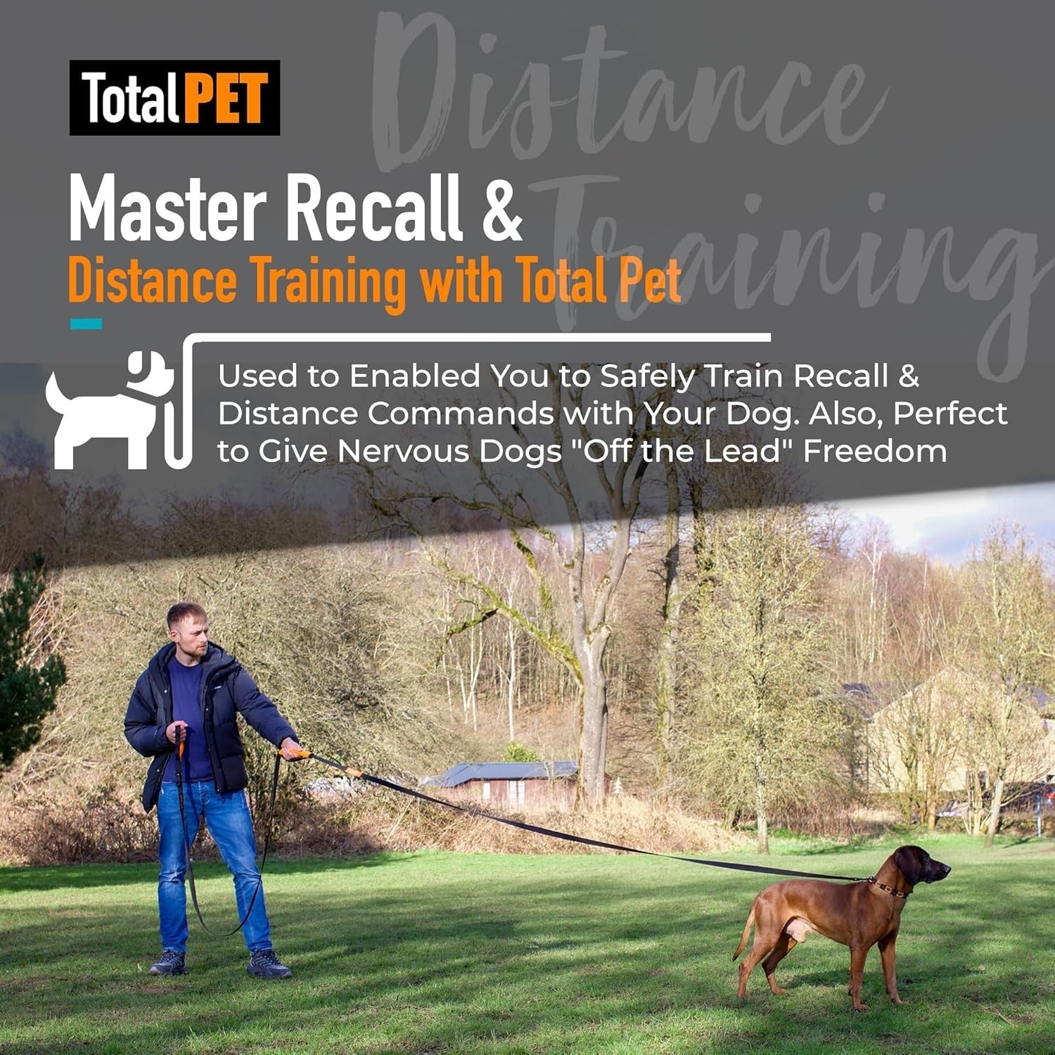 Durable 100ft Dog Training Leash - Perfect for Large/Small Breeds & Recall