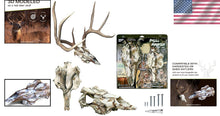 Load image into Gallery viewer, Mountain Mike’s Skull Master Antler Mount Kit - Rustic, Cost-Effective Solution