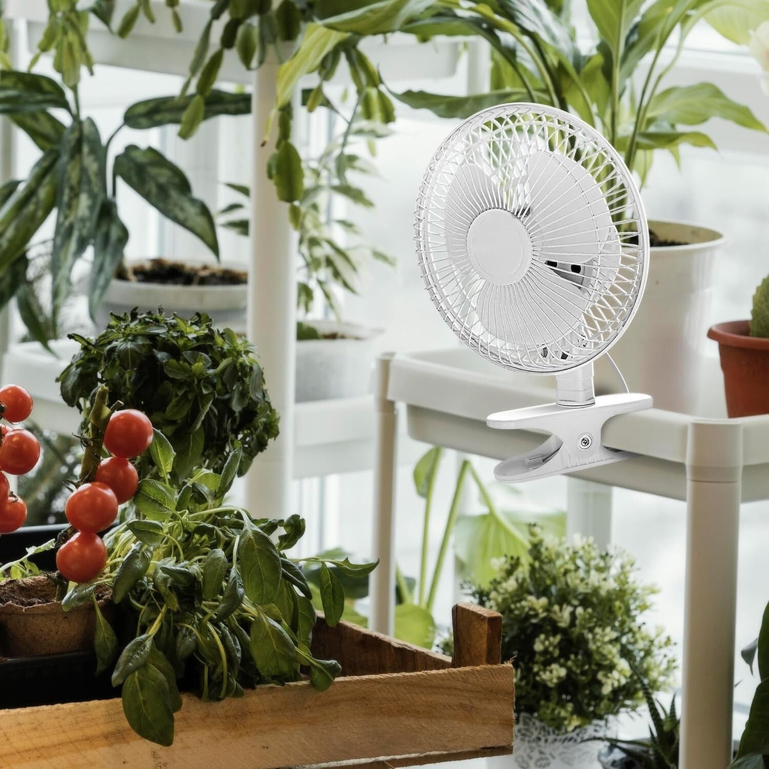 6-Inch Whisper Quiet 2-Speed Clip-On Fan with Safety Grill for Home & Office