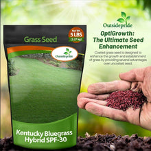 Load image into Gallery viewer, OptiGrowth Coated SPF-30 Bluegrass Mix - 10 lbs for Lush, Low-Maintenance Lawns