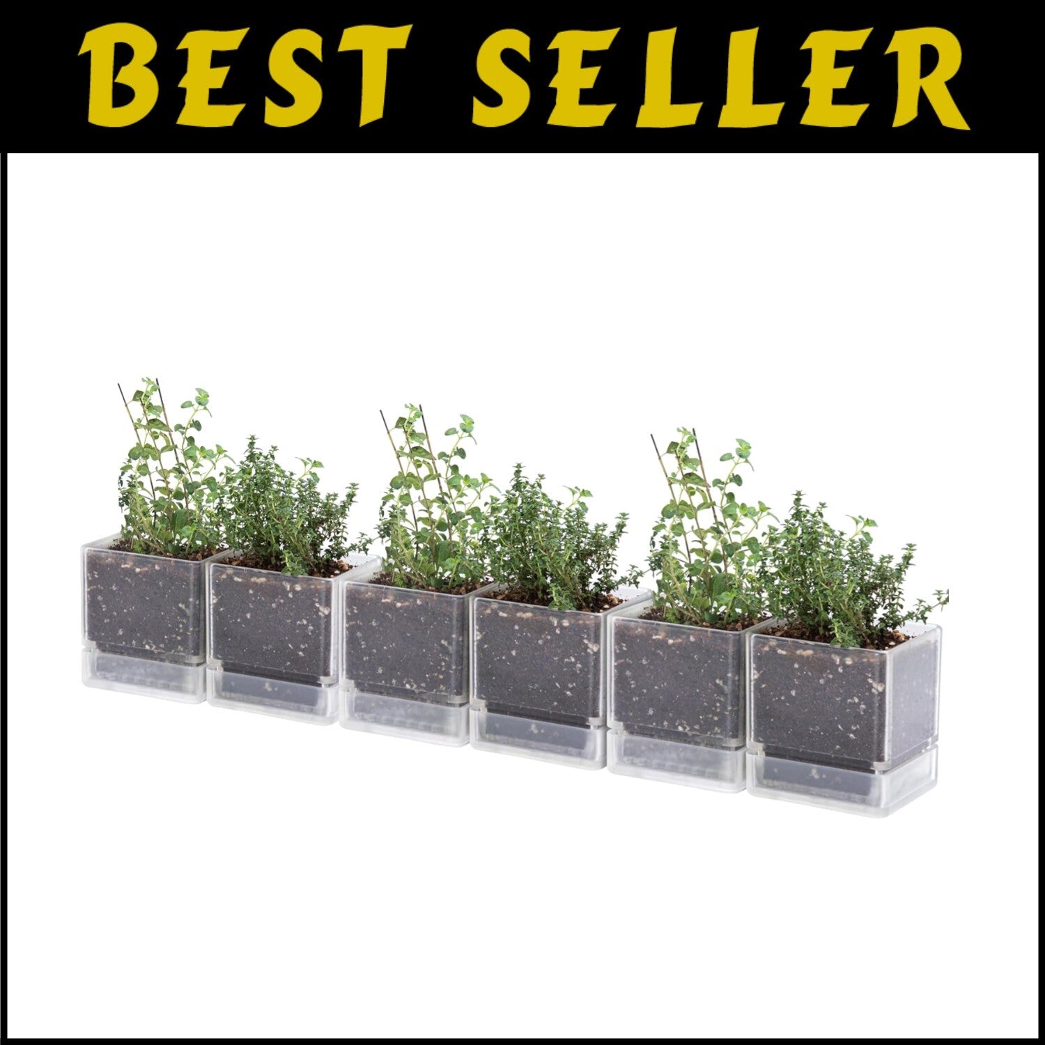 Stylish 4-Inch Plastic Herb Planter Pots with Drainage Holes for Indoor Use