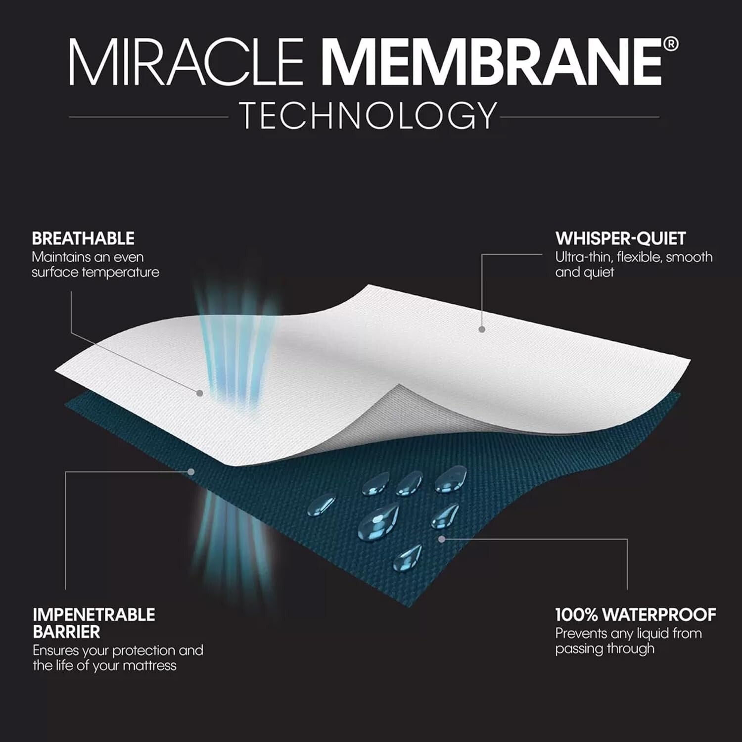 Allergen-Blocking Zippered Pillow Protectors - Waterproof, 2-Pack, Standard