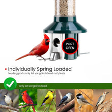 Load image into Gallery viewer, PestOff 2.0 Squirrel-Proof Wild Bird Feeder - 4lbs Capacity, Weatherproof Green