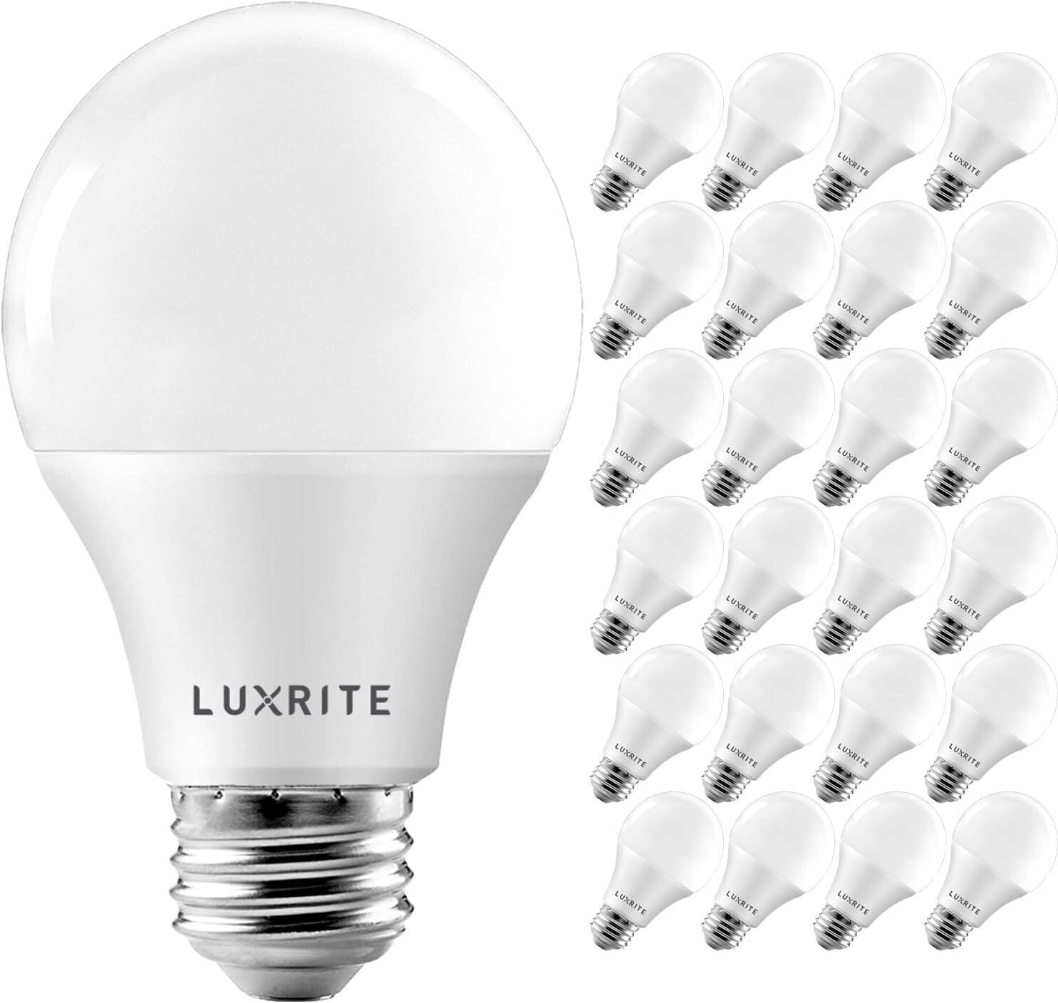 Warm White A19 LED Bulbs (60W Equivalent) - 24 Pack, Energy Efficient Design