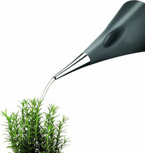 Load image into Gallery viewer, Minimalist 2L Watering Can with Removable Spout - Perfect for Indoor Plants