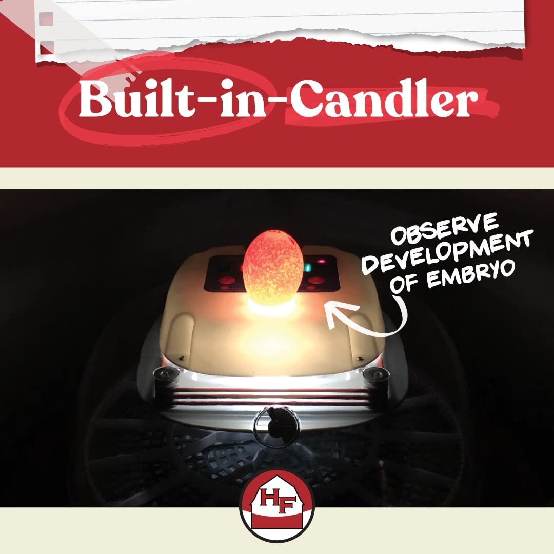 Compact Nurture Right Egg Incubator - 360 Visibility, Perfect for All Poultry