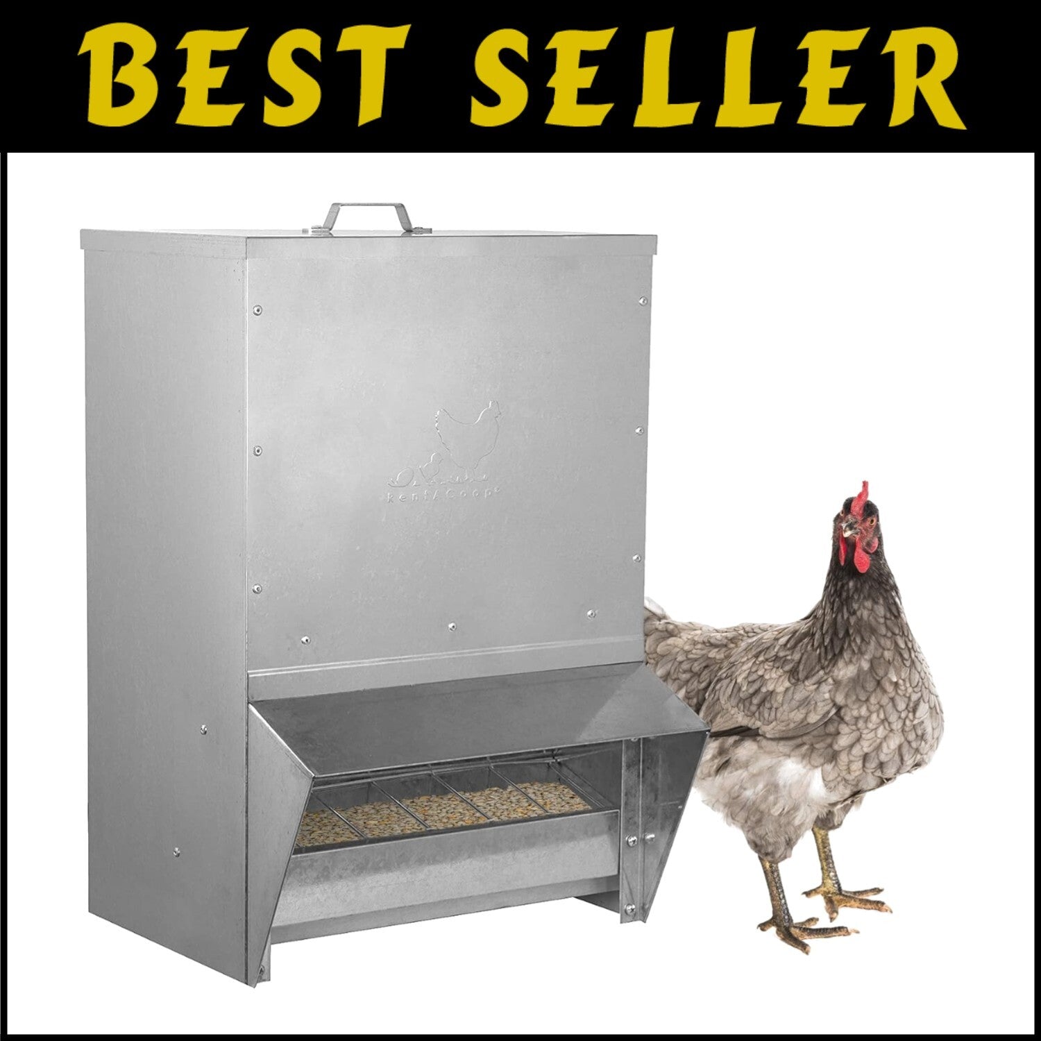 Durable Metallic Poultry Feeder: 50LB Capacity - Ideal for Grit and Oyster Shell