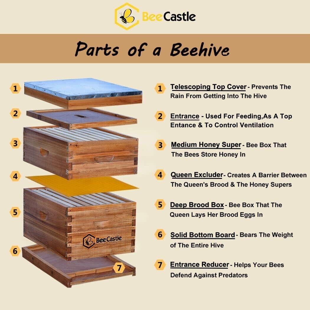 Complete 8-Frame Beehive Starter Kit with Beeswaxed Frames and Deep Medium Boxes