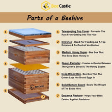 Load image into Gallery viewer, Complete 8-Frame Beehive Starter Kit with Beeswaxed Frames and Deep Medium Boxes