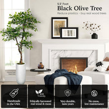 Load image into Gallery viewer, Natural-Looking 5ft Black Olive Leaf Tree - Supporting Sustainability Efforts