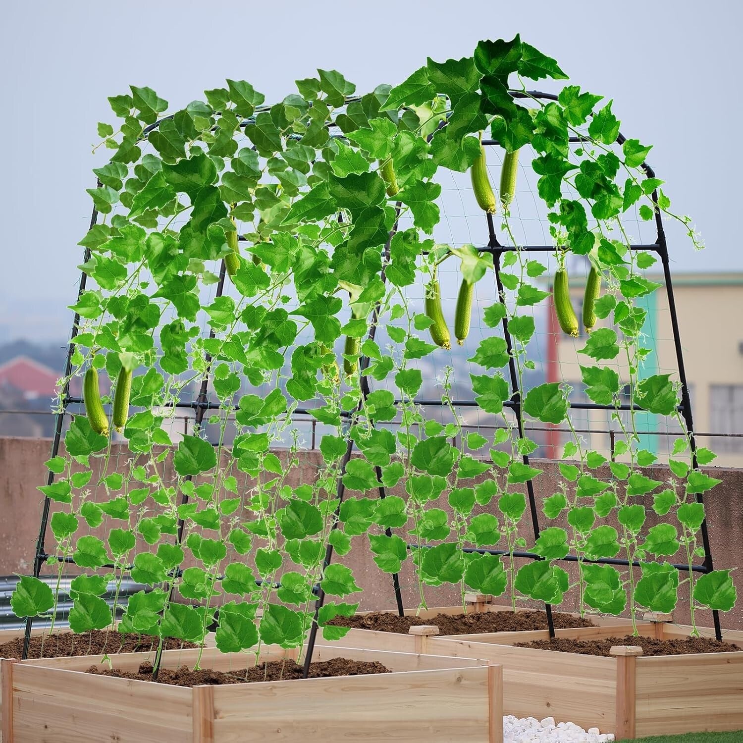 Elegant 7ft Garden Arch Trellis - Adjustable Metal Support for Climbing Plants