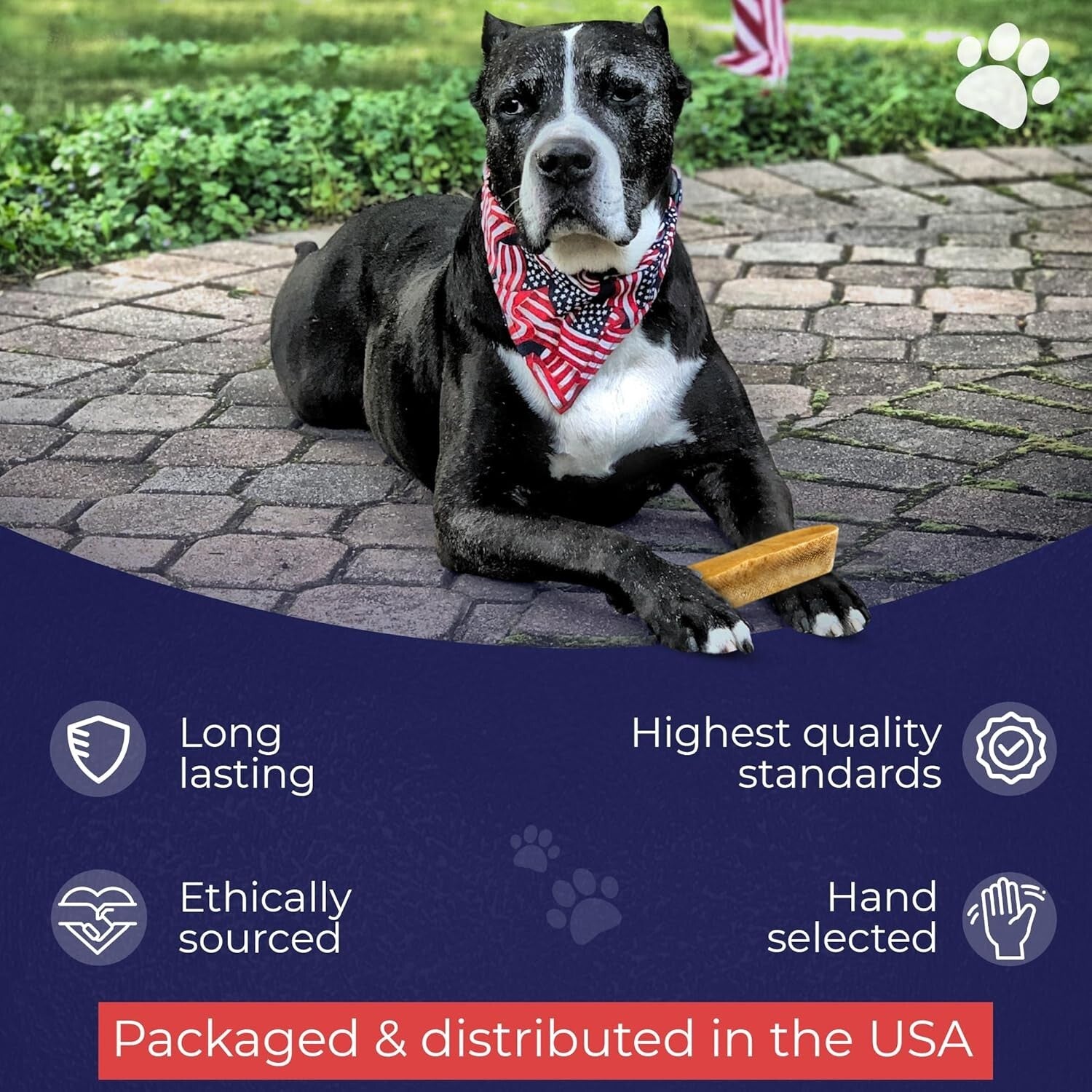 Premium Lactose-Free Yak Cheese Dog Treats - 8 Large Chews for Dental Care