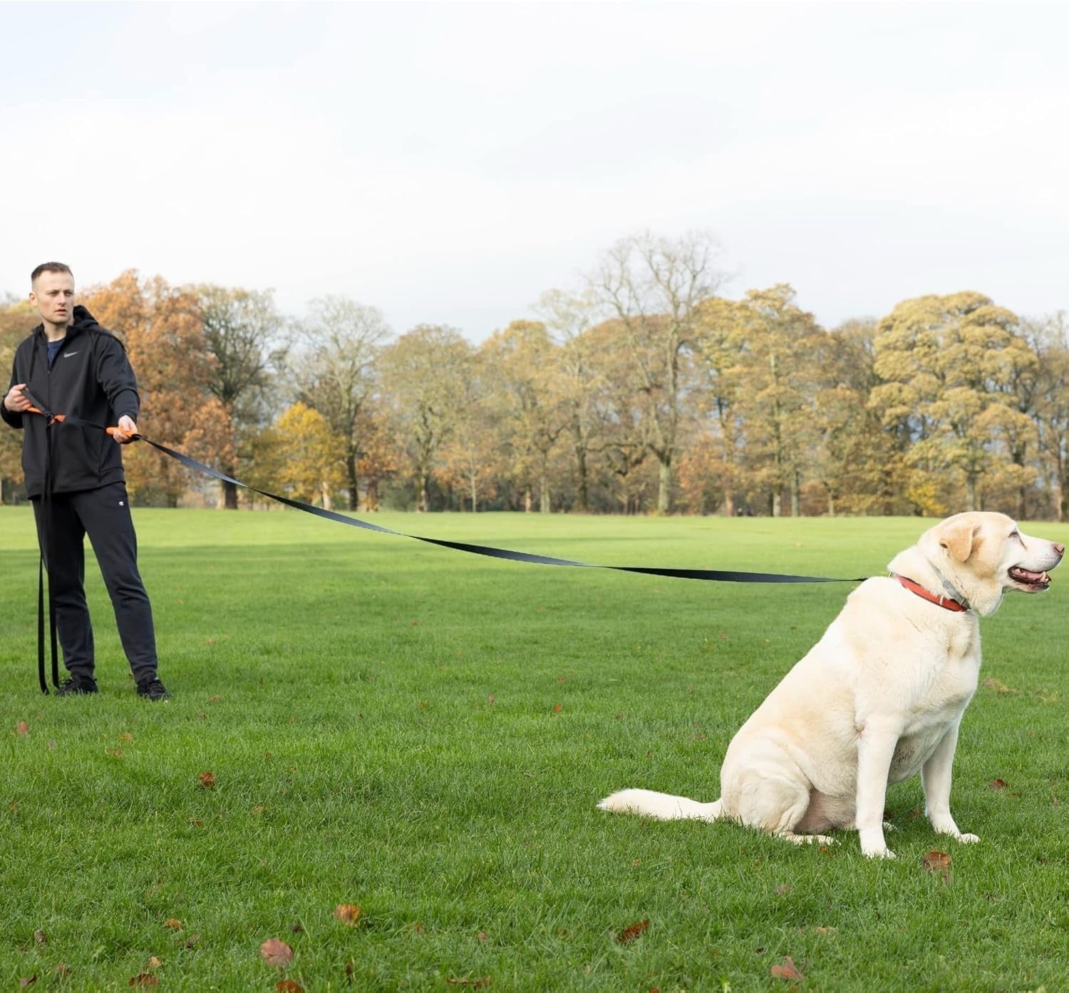 Durable 100ft Dog Training Leash - Perfect for Large/Small Breeds & Recall