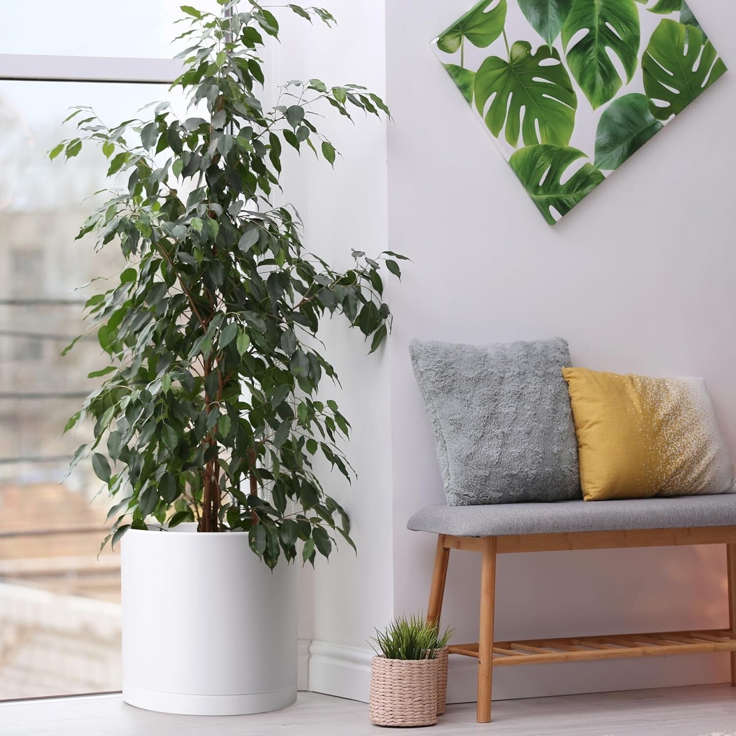 Elegant 14 Inch Cylindrical Plastic Planters with Drainage Holes & Saucer Set