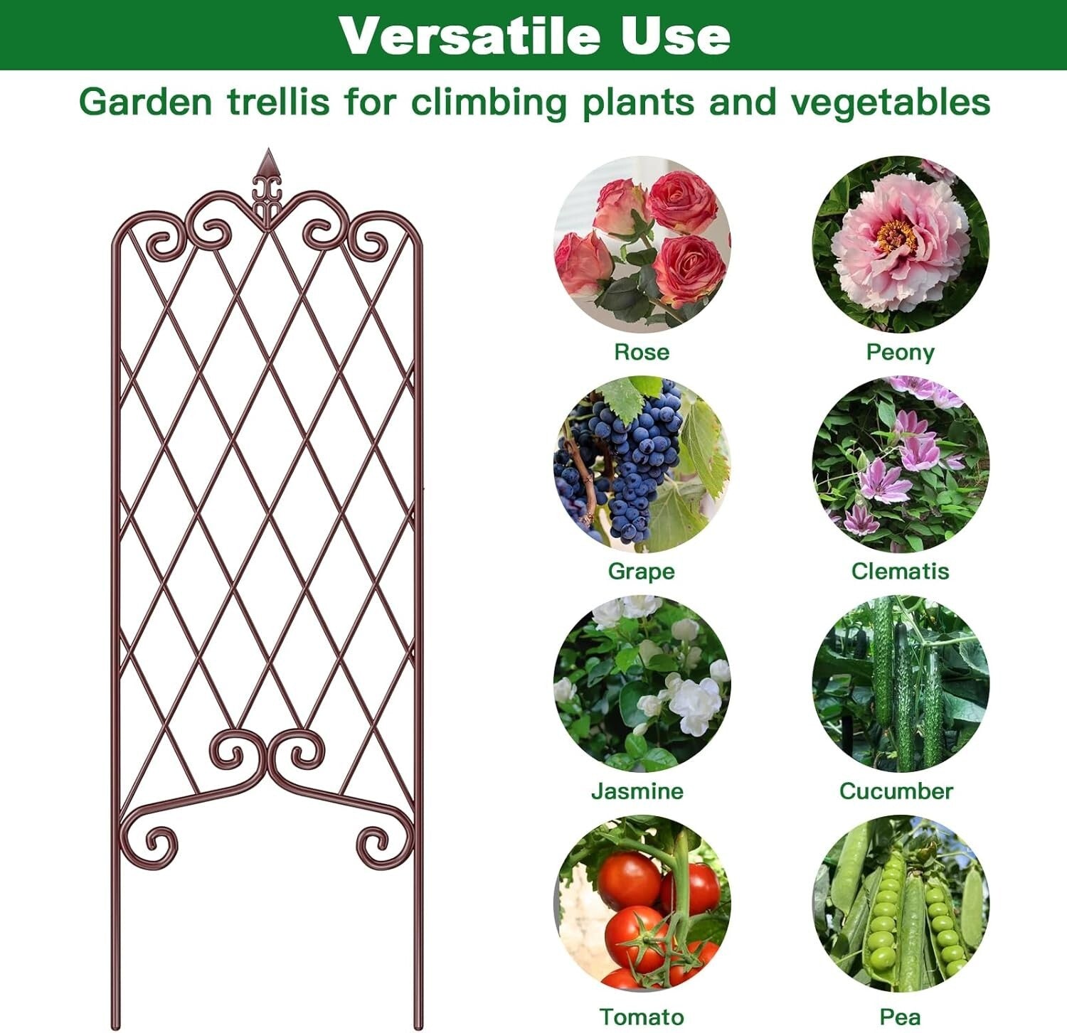Durable 60” x 18” Metal Garden Trellis - Weather-Resistant Climbing Support
