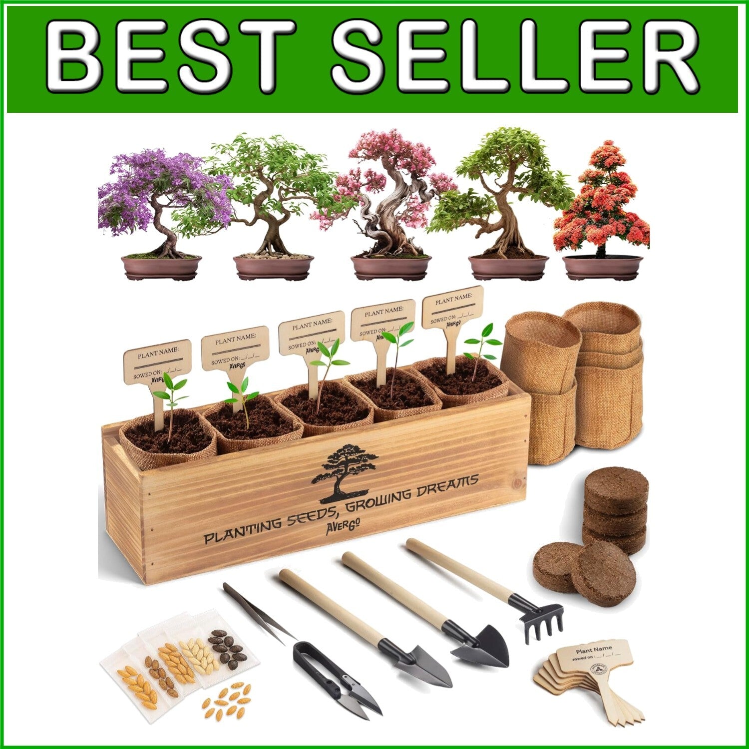 Organic Bonsai Tree Growing Kit with Easy Instructions – Ideal for Beginners