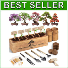 Load image into Gallery viewer, Organic Bonsai Tree Growing Kit with Easy Instructions – Ideal for Beginners