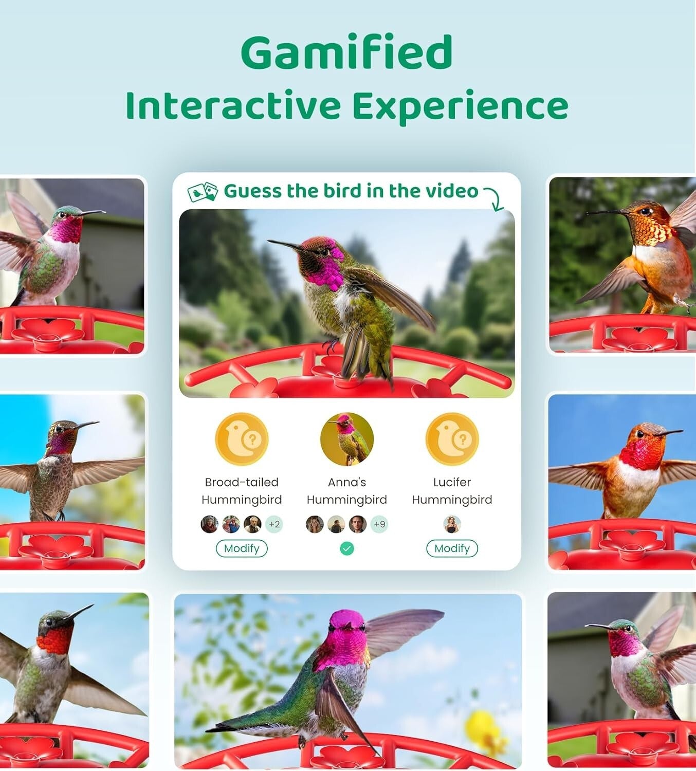 Interactive Hummingbird Feeder with HD Camera & Ant Moat - Gift for Bird Lovers