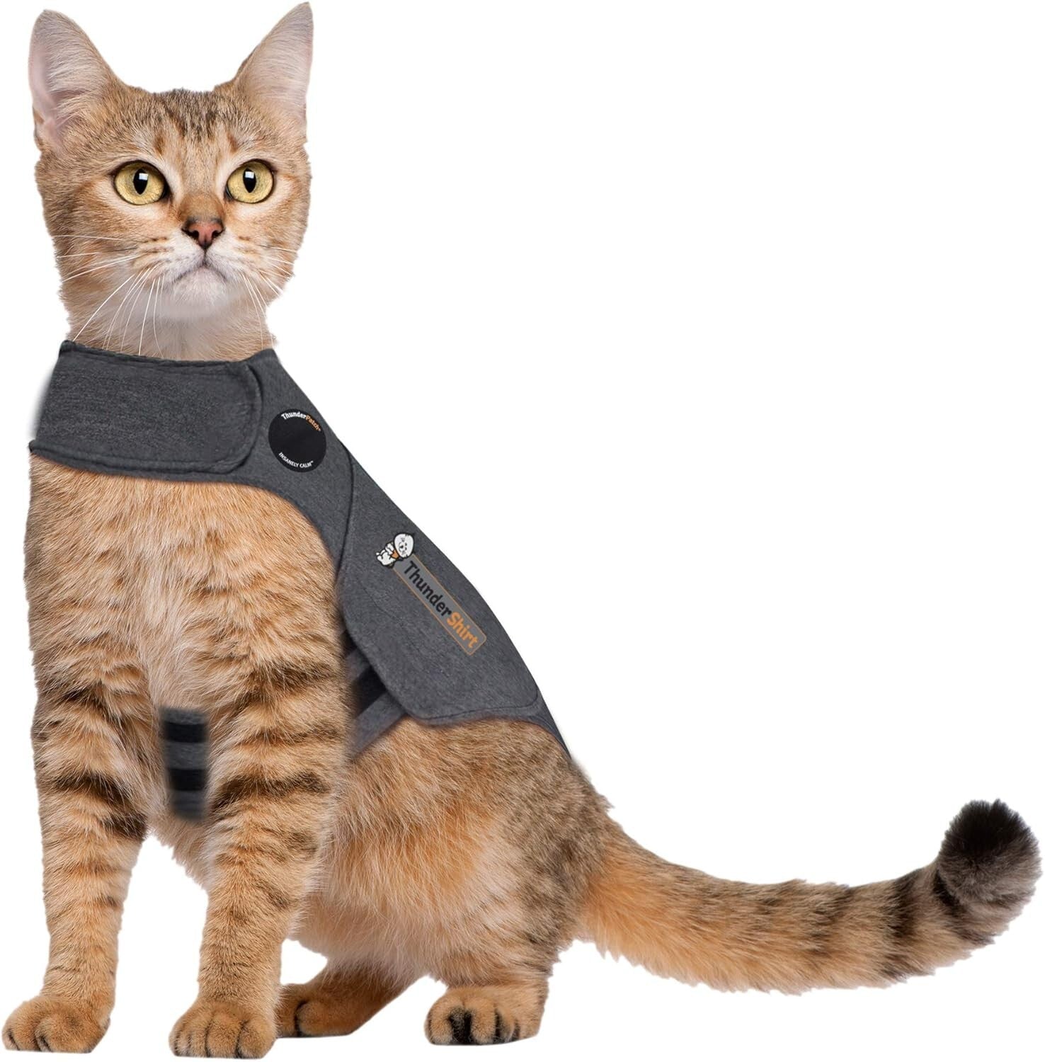 Gentle Pressure Cat Calming Vest - Medium Pet Anxiety Solution (9-13 lbs)