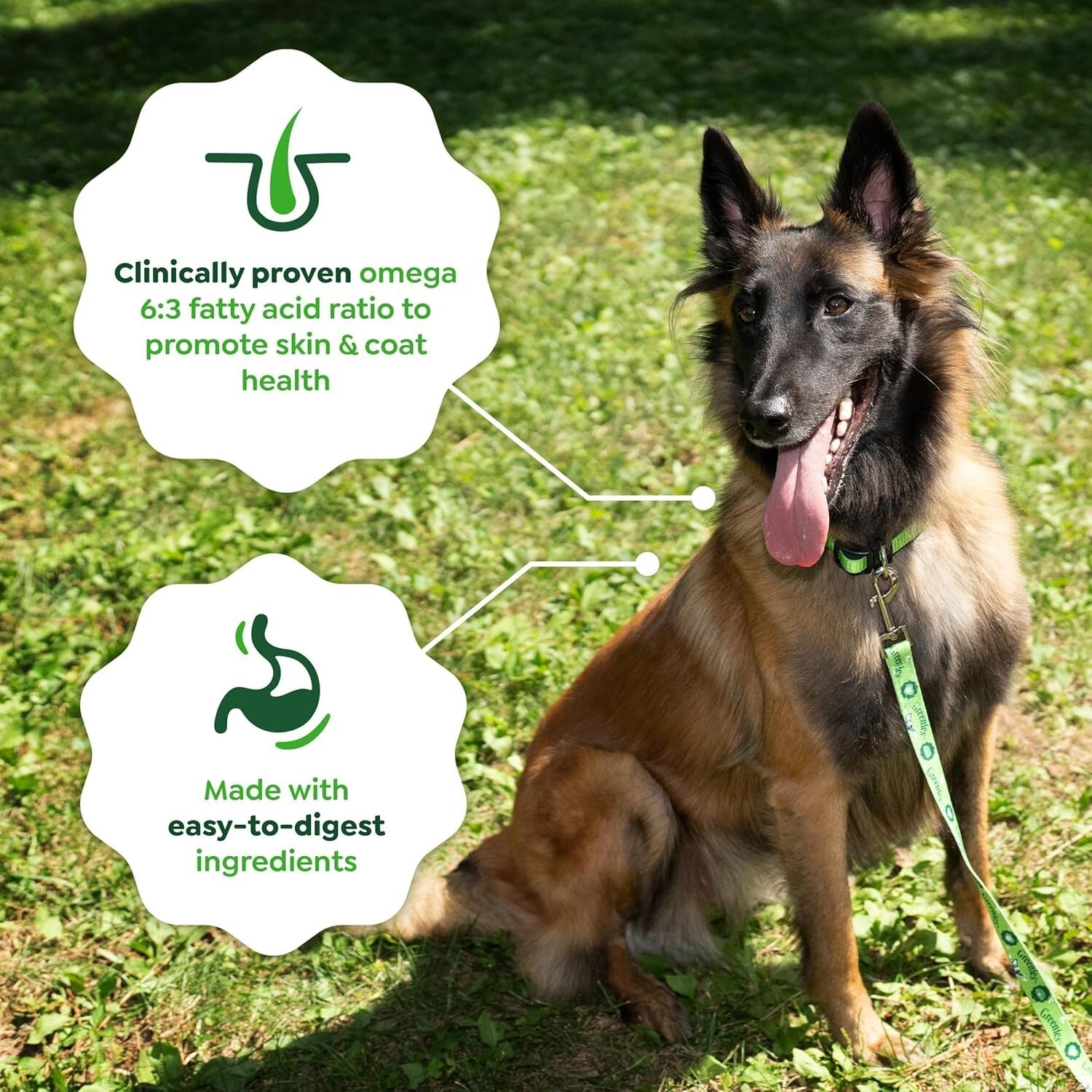 15 lb. Premium Adult Dog Food with Real Lamb & Brown Rice for Sensitive Stomach