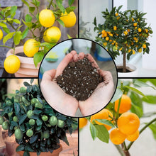 Load image into Gallery viewer, Organic 30qt Potting Soil for Citrus Trees – Ideal for Indoor and Outdoor Use