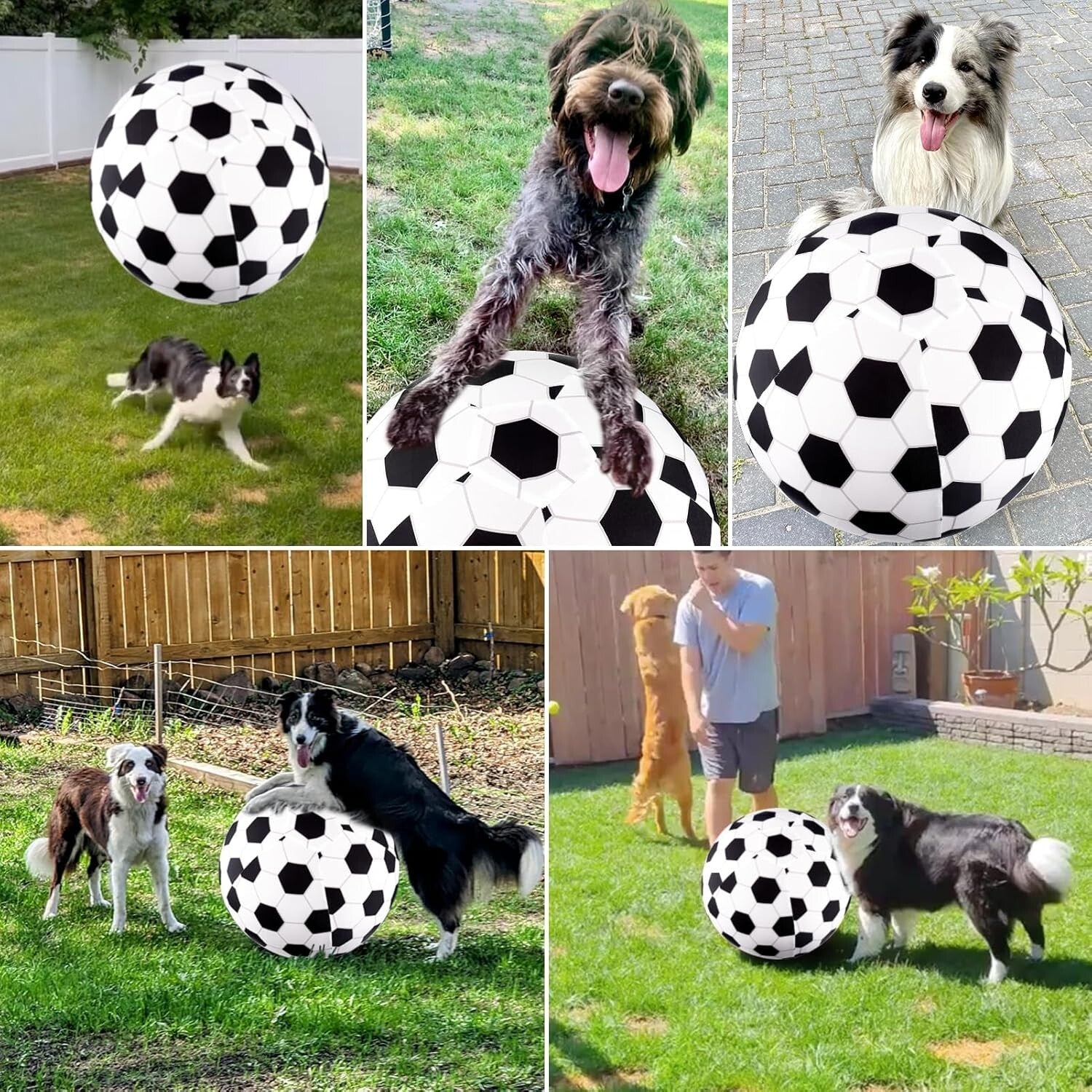 Durable 20" Herding Ball for Dogs with Cover & Pump - Perfect for Active Play