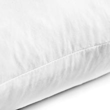 Load image into Gallery viewer, Set of 2 - 22x22 White Feather Down Decorative Pillow Inserts - Soft &amp; Washable
