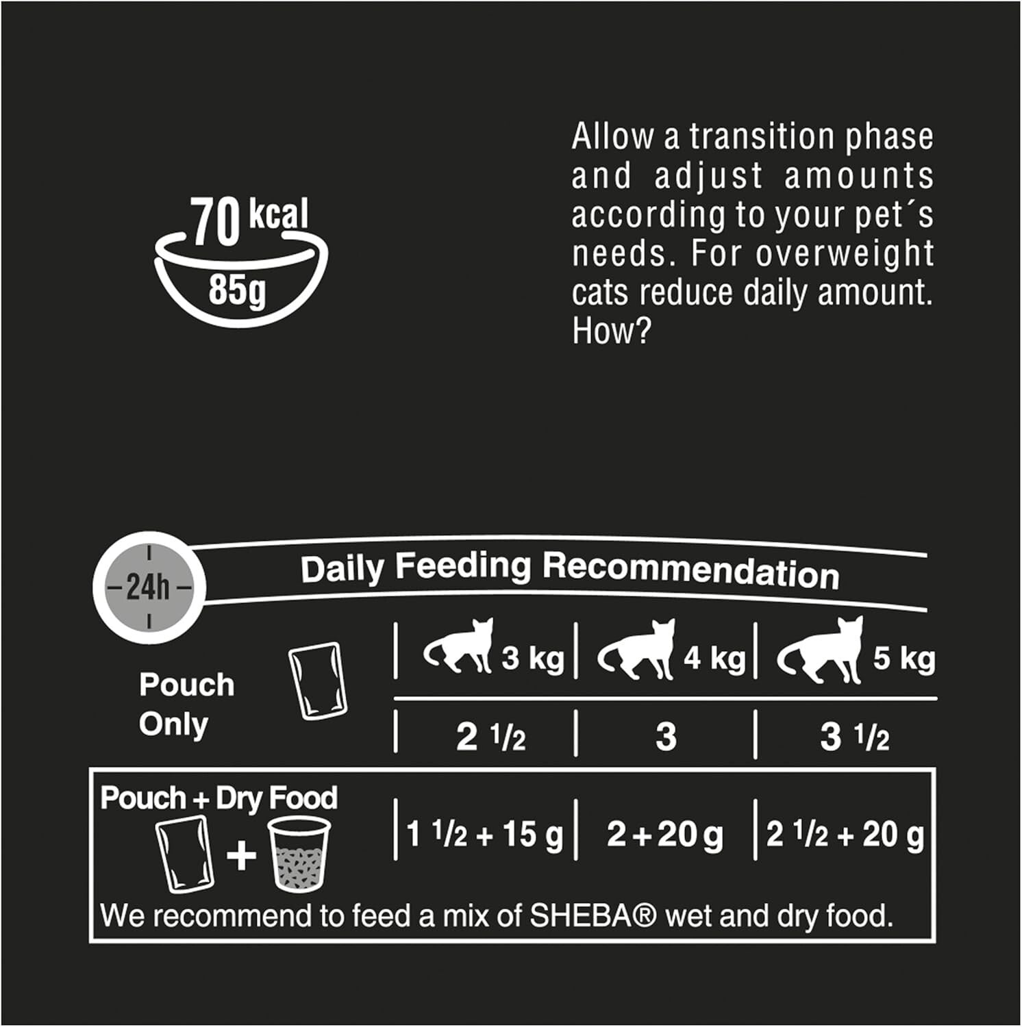 Nutritious Seafood Slices in Gravy - Wet Cat Food for Adults - 12 x 85g