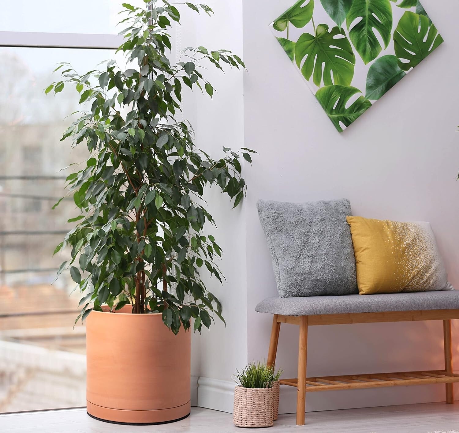 Elegant Set of 3 Terracotta Pots with Drainage and Saucers for Indoor Plants