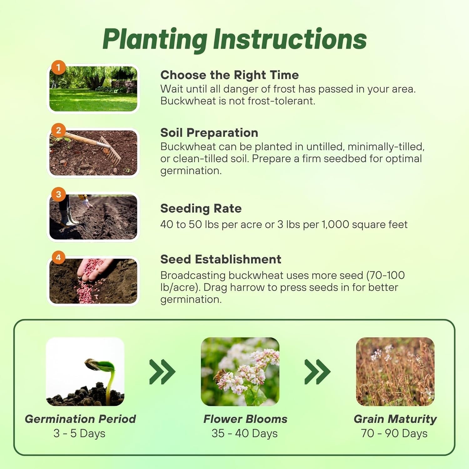 Buckwheat Seeds - 10lbs for Sustainable Cover Crop & Biodiversity Enhancement