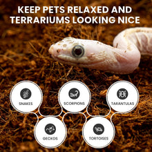 Load image into Gallery viewer, Ready-to-Use Organic Coconut Substrate - Perfect Bedding for Snakes and Lizards