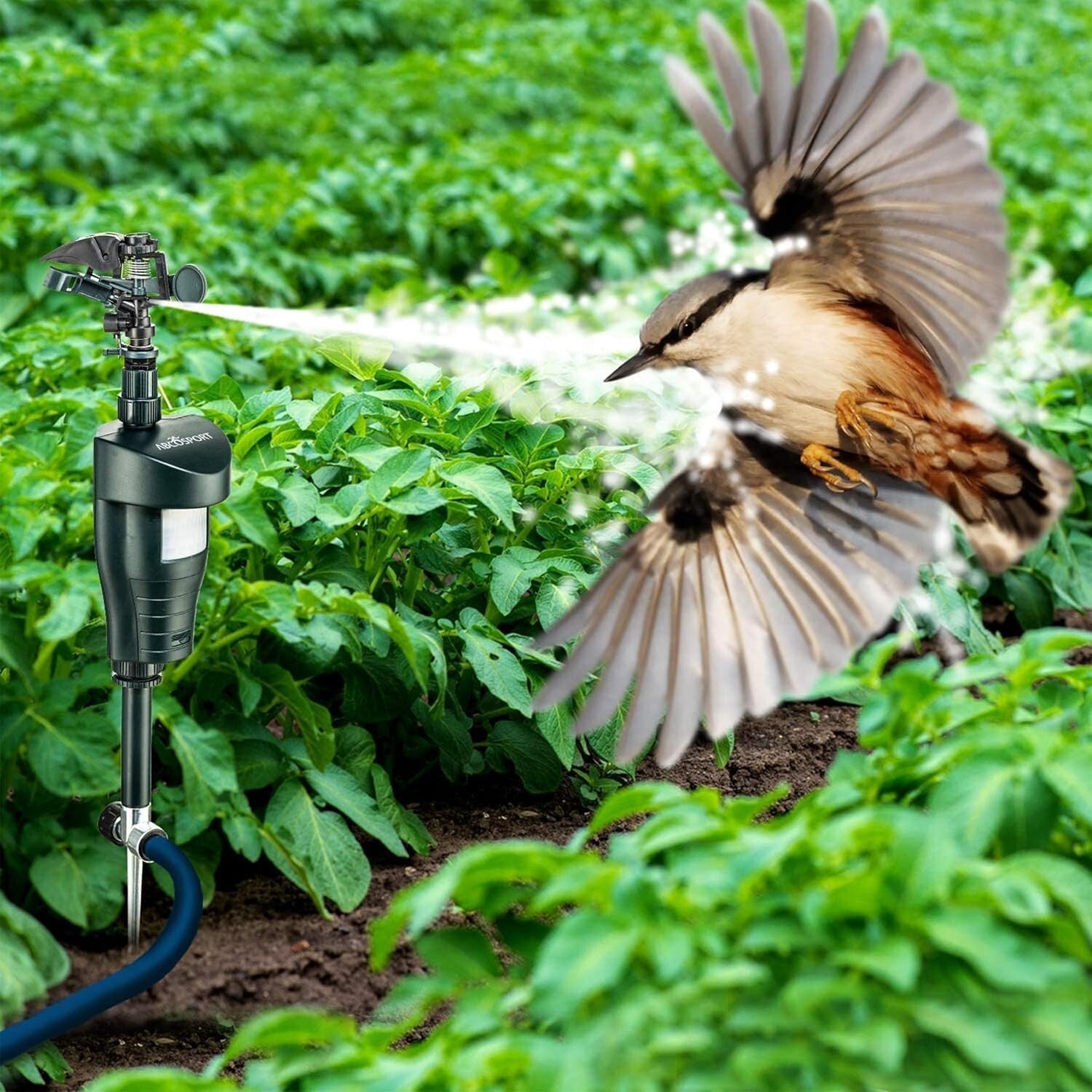 Humane Motion Activated Pet Deterrent Sprinkler Set - Protect Your Yard Safely