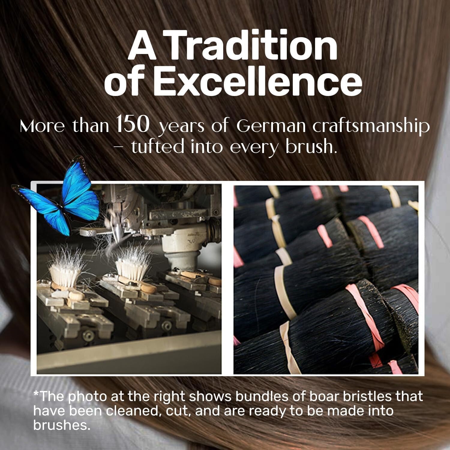 Luxury Boar Bristle Hairbrush for Fine to Medium Thick Hair - Made in Germany